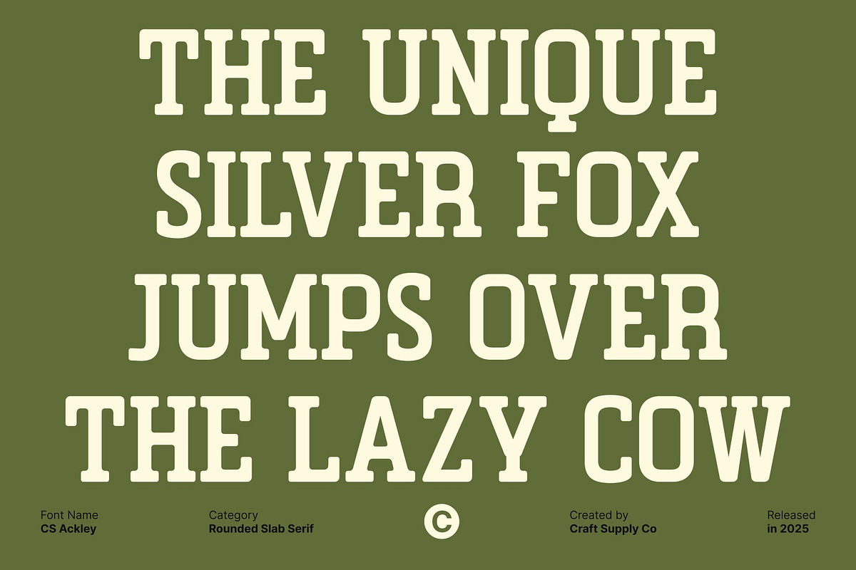 CS Ackley – Slab Serif Font, a Slab Serif Font by Craft Supply Co. (Photo 7 of 8)