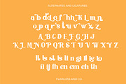 Helios Retro Font, a Serif Font by Flawless And Co (Thumbnail 9 of 16)