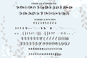 Understand | Script Font, a Handwritten Font by Scratchones (Thumbnail 7 of 8)