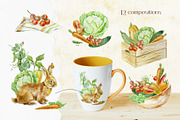 Vegetables Watercolor clip art, a Food Illustration by Farida Bik (Thumbnail 4 of 12)