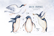 Arctic cute animals.  Watercolor set, an Animal Illustration by Peace ART (Thumbnail 10 of 22)
