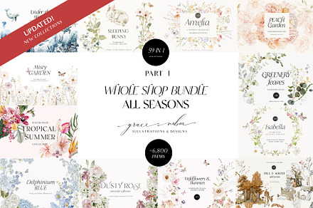Bundle WHOLE SHOP 6800 items-59 in 1, a Decorative Illustration by Grace Noboa Illustrations