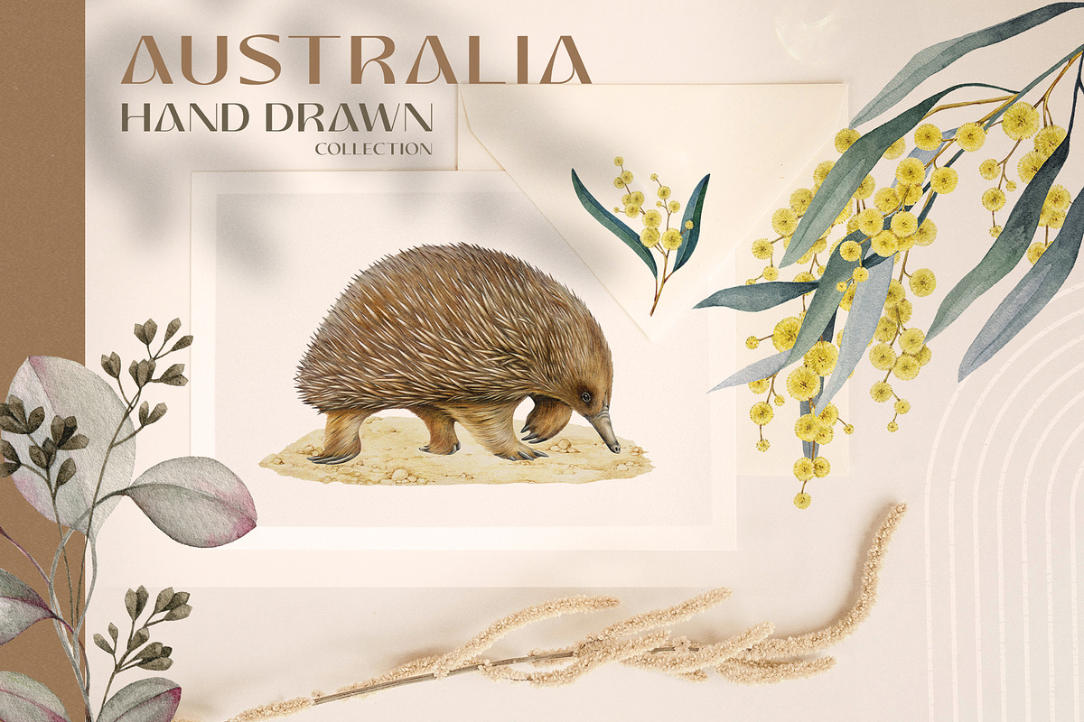 Australia Flora Fauna Clipart, an Animal Illustration by AnitaPol (Photo 19 of 27)