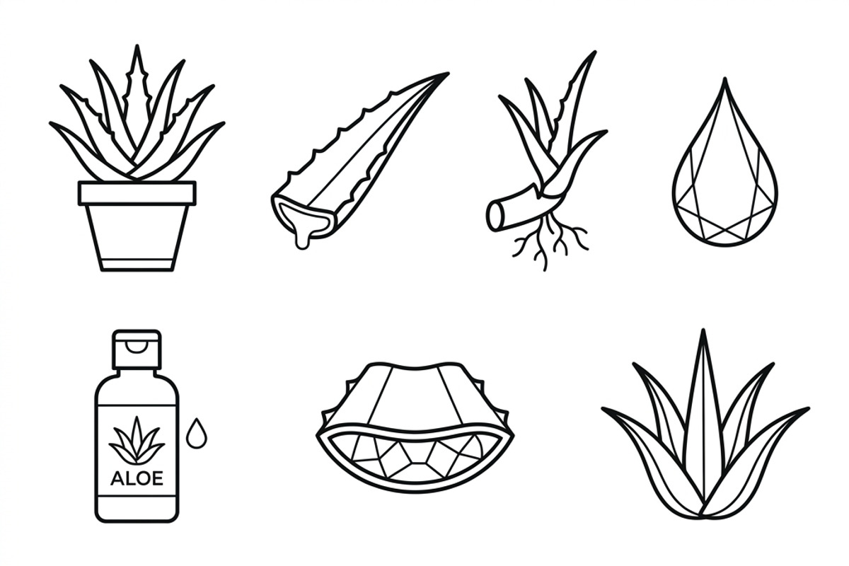 Bundles Set Organic Cosmetic Icons, an Outline Icon by adenpinkstore (Photo 7 of 11)
