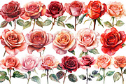 Valentine's Rose Clipart, an Illustration by Design Market (Thumbnail 2 of 5)