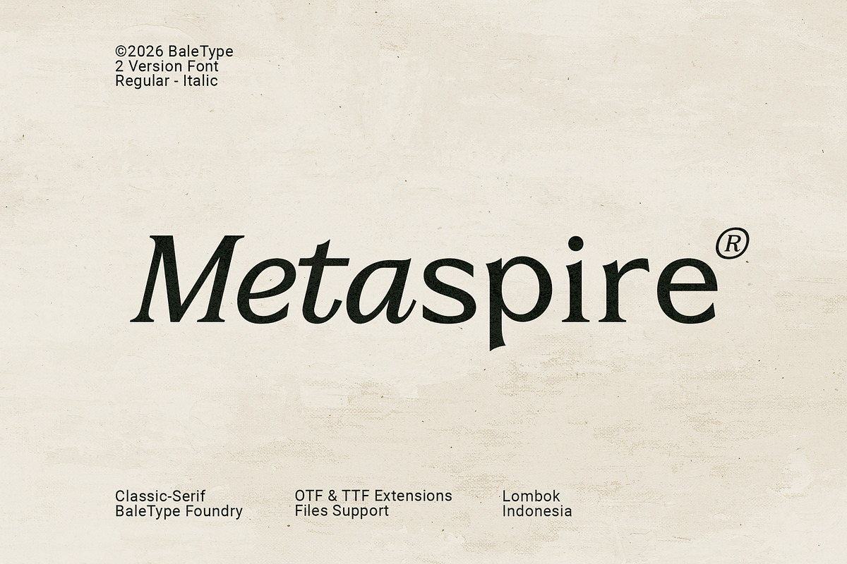 Metaspire - Modern Display Serif, a Serif Font by Bale Type (Photo 1 of 9)