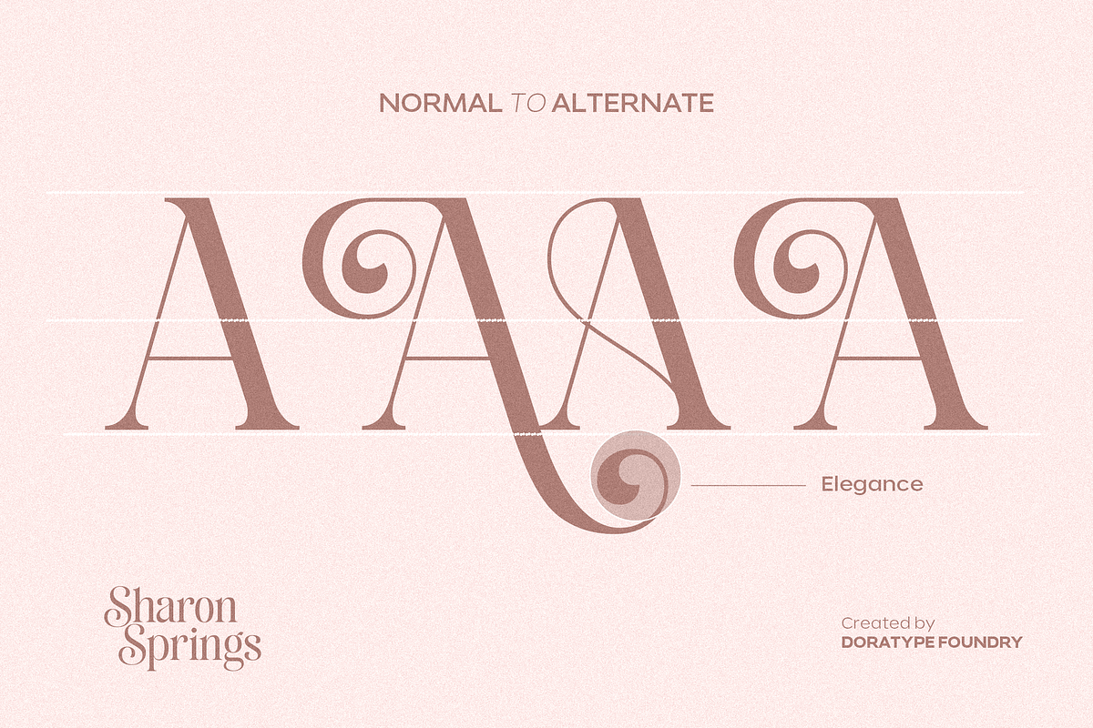 Sharon Springs, a Serif Font by Dora Typefoundry (Photo 6 of 11)
