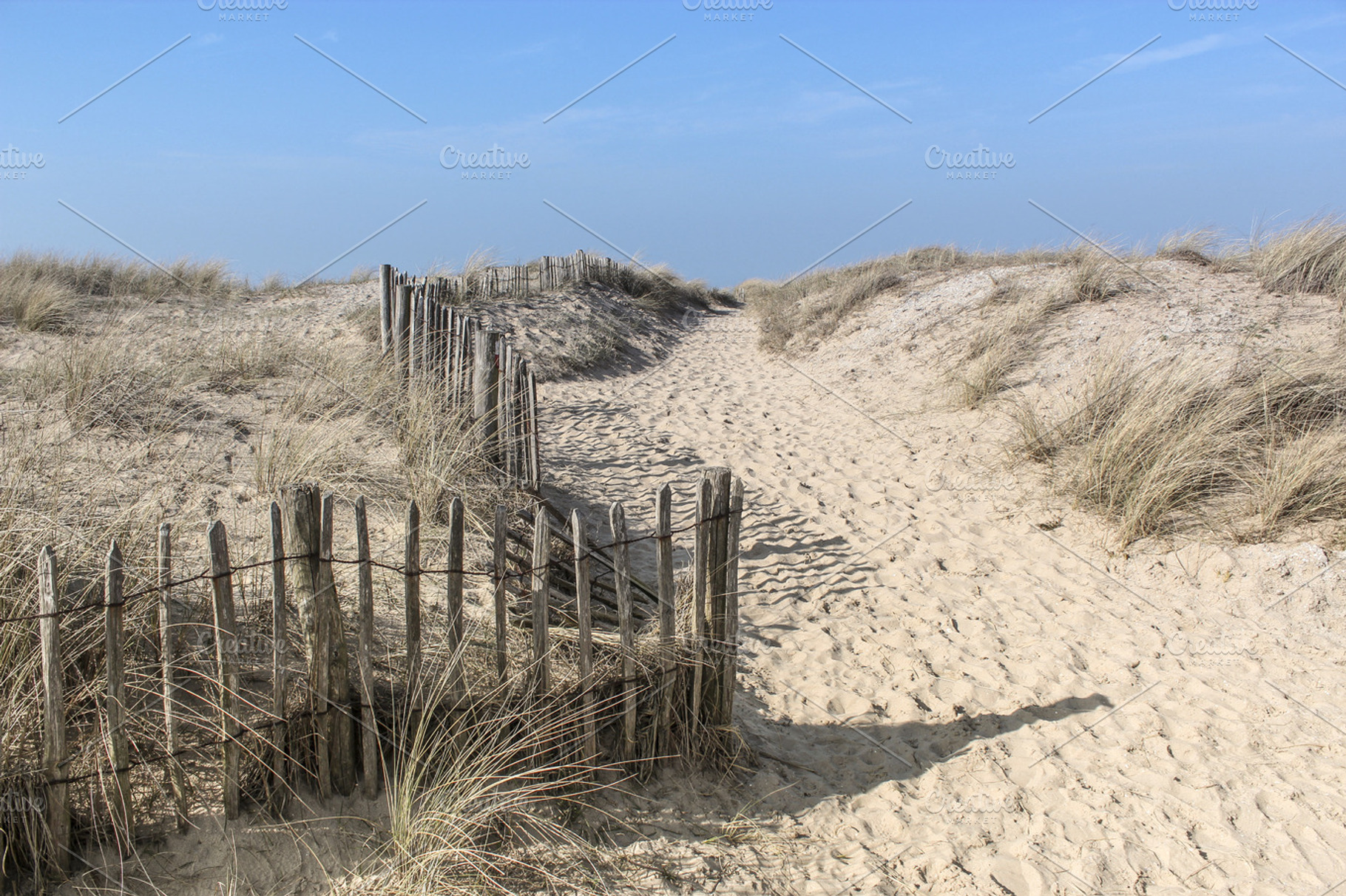 Dunes Featuring Dunes Fence And Wood