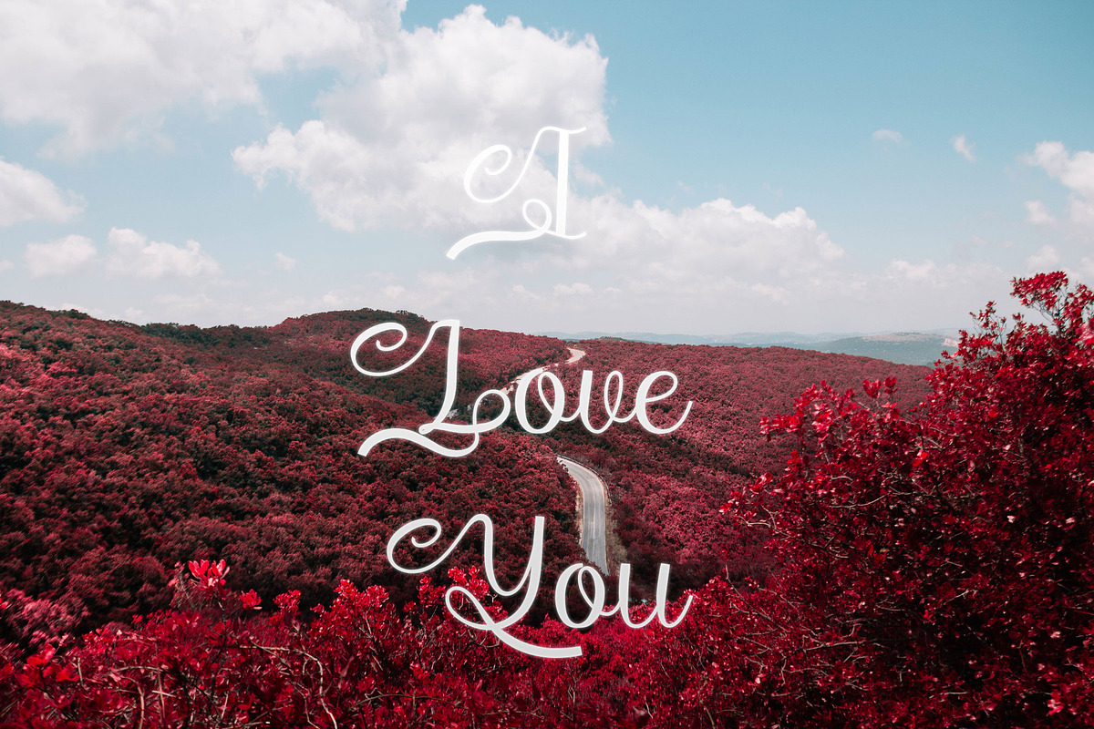 Cedurio - Calligraphy Font, a Script Font by NDNL Studio (Photo 4 of 6)