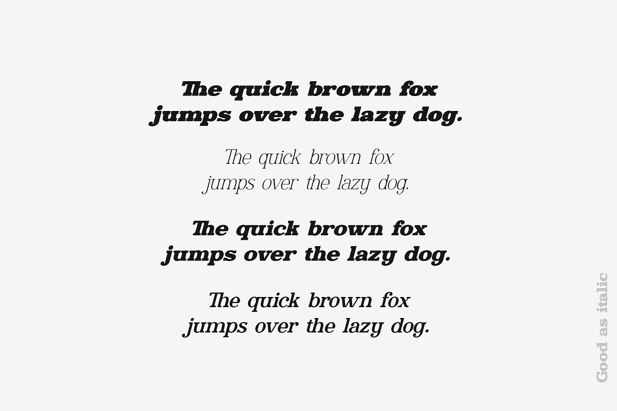 Ronald Gunfire Serif Font Family, a Slab Serif Font by Sentavio (Photo 5 of 12)