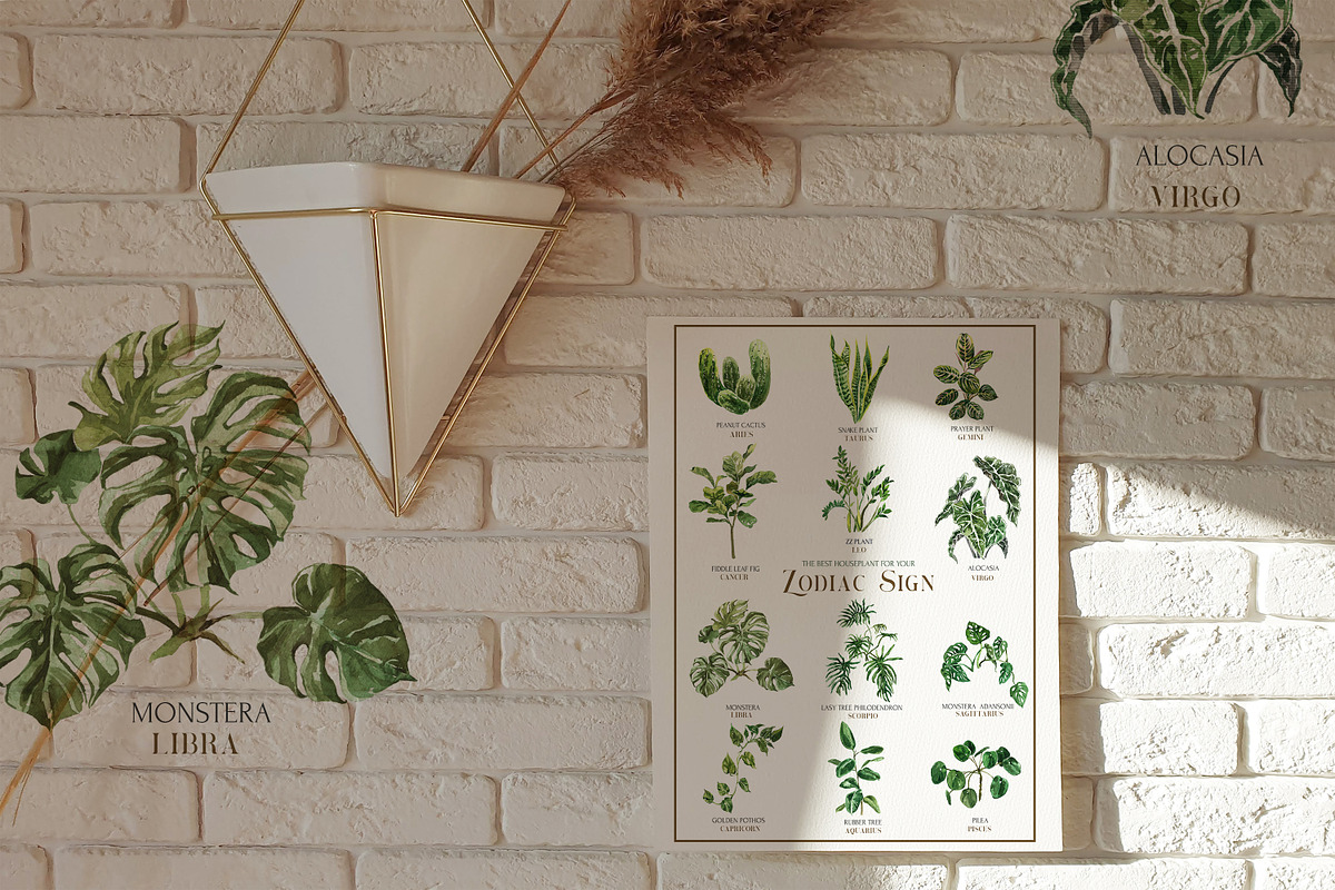 Stay Home & Love Plants Collection, a Decorative Illustration by Cat In Colour (Photo 10 of 10)