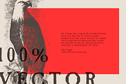 Vintage Eagle Illustrations Vector, an Illustration by Jeffry Macpherson Visuals (Thumbnail 2 of 3)
