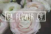 Knoxville | A Logo Creating Font, a Sans Serif Font by Jen Wagner Co (Thumbnail 3 of 9)