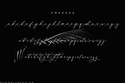 Bucking Hamshire Script, a Script Font by Nowlystudios (Thumbnail 10 of 10)
