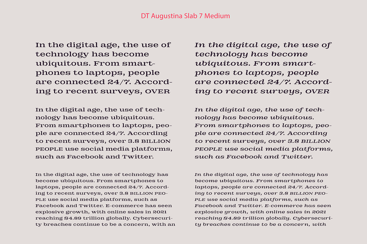 DT Augustina Slab 7 Subfamily, a Slab Serif Font by Deveze Type Foundry (Photo 10 of 31)