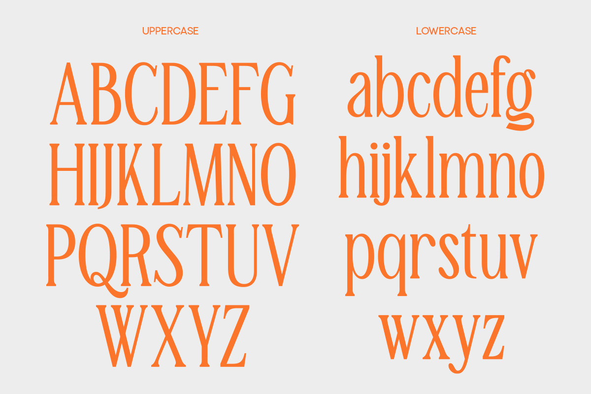 TBJ Malta 9-Font Family, a Serif Font by Taboja Studio (Photo 9 of 16)