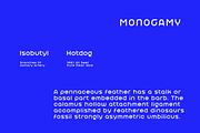 Regfa, a Sans Serif Font by baqoos (Thumbnail 2 of 5)