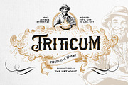 White Ascents - Victorian Serif, a Slab Serif Font by Bale Type (Thumbnail 8 of 9)