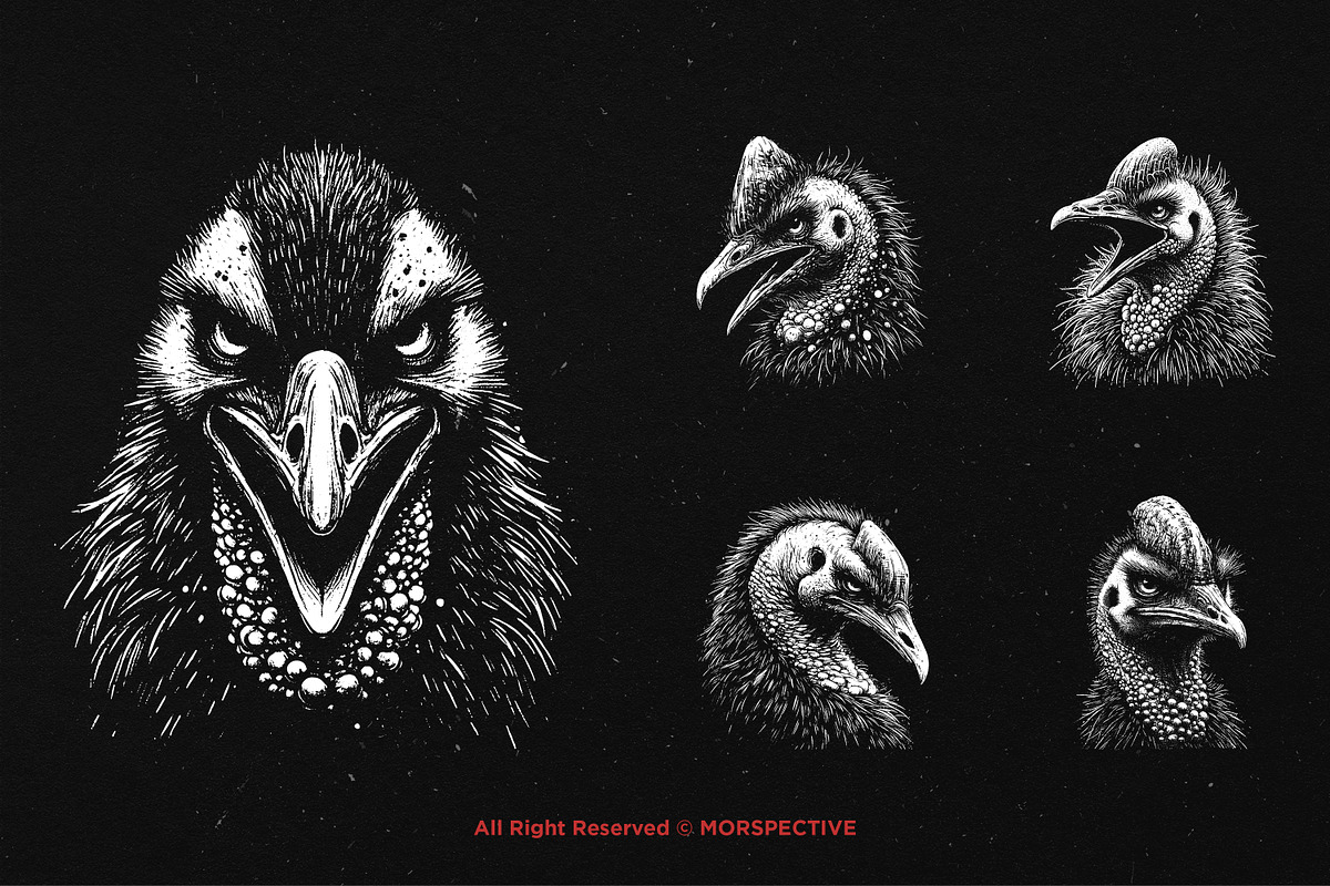 10 Bundle Dark Art Cassowary Bird, an Illustration by Morspective (Photo 3 of 7)