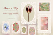 Bloomed in Haze: Floral Backgrounds, a Background Graphic by Purple (Thumbnail 7 of 14)