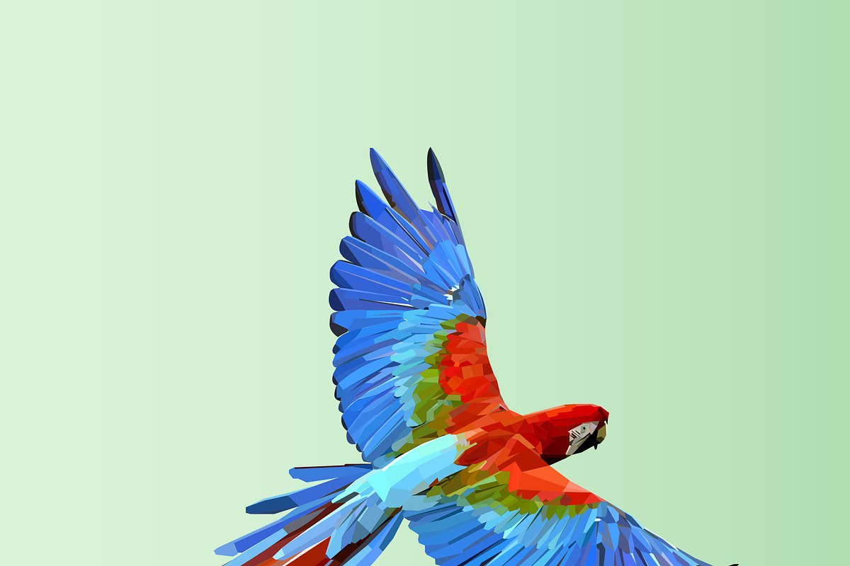 Flying  parrot. Colorful vector., an Animal Illustration by OS