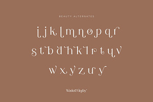 Wasted Vindey - Classy Serif Font