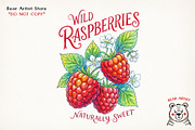 Summer Fruits, Hand-drawn PNG Bundle, an Object Graphic by GlitterCraft (Thumbnail 18 of 41)