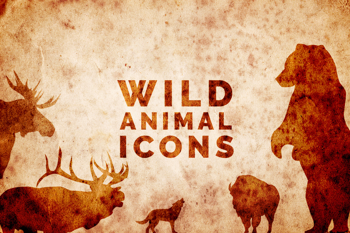 Adventure Design Bundle, an Icon by Calvin Weibel (Photo 2 of 12)