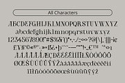 CS Alden – Display Serif Font, a Serif Font by Craft Supply Co. (Thumbnail 7 of 8)