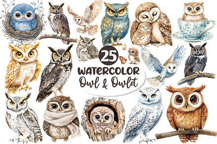 Watercolor Owl & Owlet Clipart, an Illustration by Dream Creation