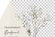 Gypsophila clipart, Baby Breath PNG, a Decorative Illustration by Invite to Clipart (Thumbnail 7 of 7)