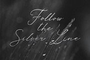 Silver Thread Textured Script Font, a Script Font by AnMark (Thumbnail 10 of 10)