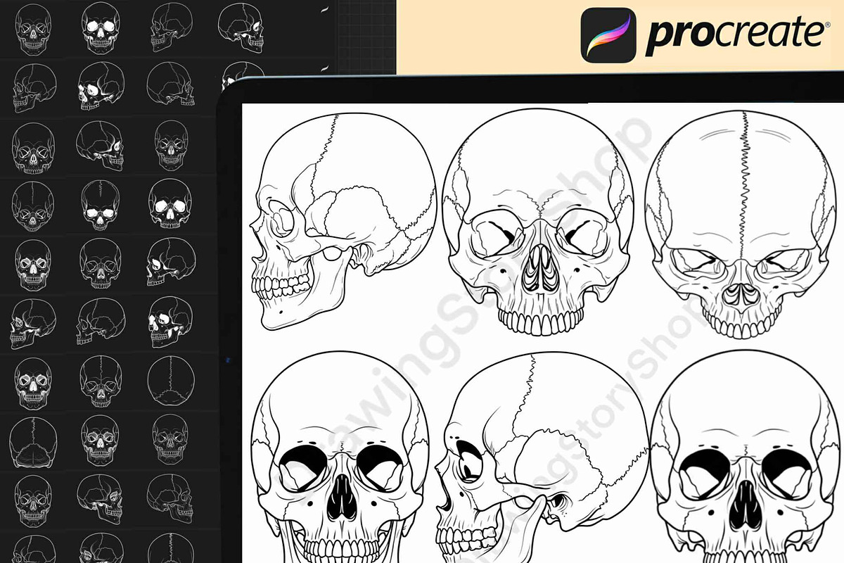 160 Procreate Skull Stamp Brushes, a Brush Add-On by DrawingStoryShop (Photo 4 of 6)