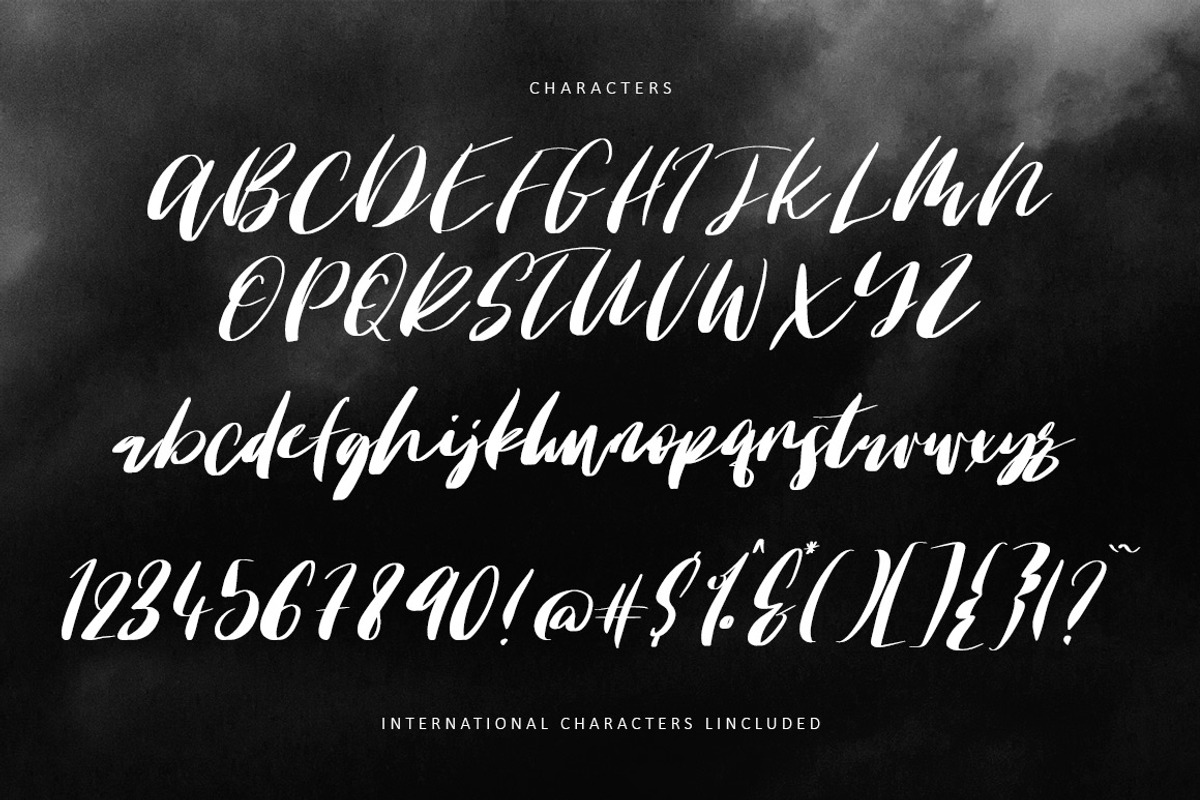 Tyndust Script Font preview 2