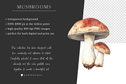 Watercolor Mushrooms, a Food Illustration by PeDe Designs (Thumbnail 6 of 6)