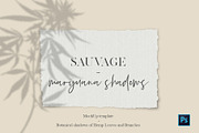 Hemp/Marijuana Shadows & MockUp, a Mockup by Jeanina Vlad (Thumbnail 1 of 17)