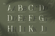 Levelly Luxury Premium Serif Font, a Serif Font by Artiveko (Thumbnail 8 of 9)