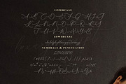 Clements Morgle Font Duo, a Serif Font by Storytype Studio (Thumbnail 14 of 15)