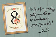 Peach Floral Numbers With Vectors, an Illustration by Amanda Ilkov (Thumbnail 4 of 5)