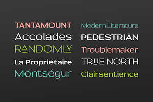 Prose Sans Sans Serif Font Family