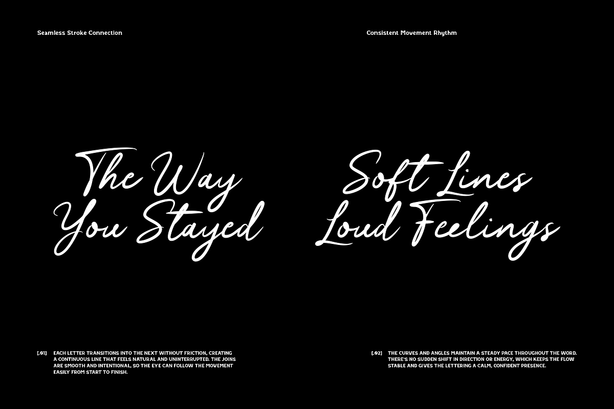 Mailyard - Script Font, a Script Font by Typeparties (Photo 4 of 8)