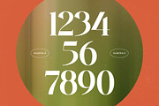 Single Robusta Modern Display Serif, a Serif Font by timelesstype.co (Thumbnail 7 of 20)
