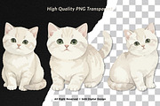 15 Bundle Watercolor White Kitten, an Animal Illustration by Morspective (Thumbnail 2 of 8)