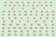 Kanilia | Modern Branding Font, a Serif Font by MchCrafter (Thumbnail 11 of 12)
