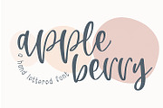 AppleBerry Script Font, a Script Font by Dansie Design (Thumbnail 1 of 7)