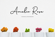 Brinley - Modern Handwritten Font, a Script Font by Flawless And Co (Thumbnail 5 of 10)