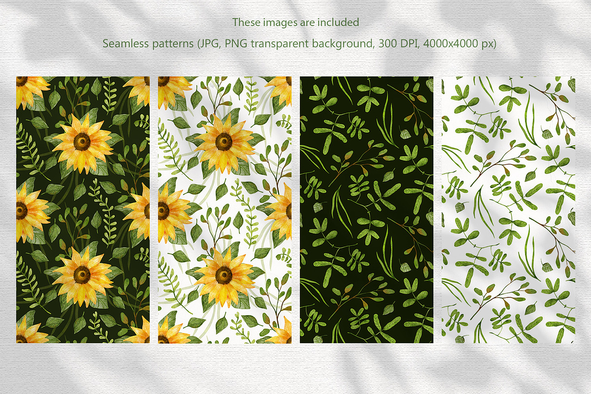 Sunflowers Watercolor Collection, an Illustration by Anna Druzhkova (Photo 9 of 17)