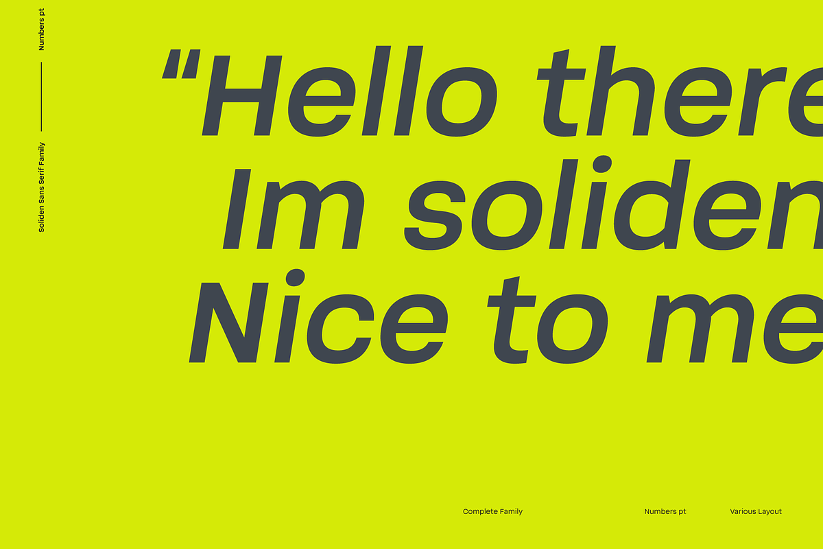 Soliden; 48 Fonts Sans Serif Family, a Sans Serif Font by Eko Bimantara (Photo 11 of 15)