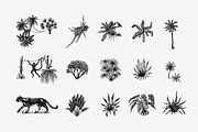 Tropical trees and plants. Jungle, a Decorative Illustration by Arthur Balitskiy (Thumbnail 3 of 4)