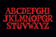 Oath Typeface, a Serif Font by Tugcu Design Co. (Thumbnail 3 of 4)